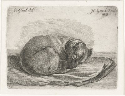 Schlafender Hund, liegend auf einer Decke von Jacobus Cornelis Gaal
