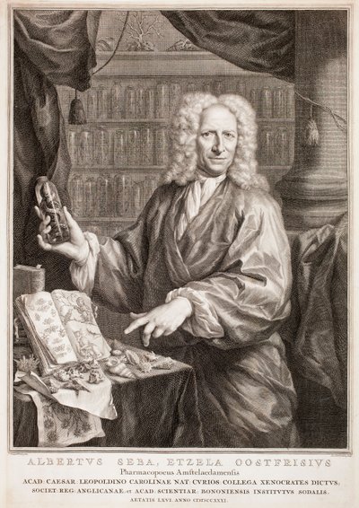 Porträt von Albertus Seba, nach Jan Maurits Quinkhard von Jacobus Houbraken