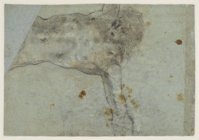 Studie eines gekreuzigten Christus von Jacopo Bassano