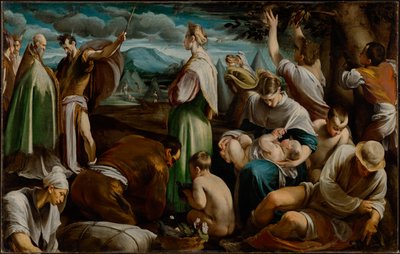 Das Wachtelwunder von Jacopo Bassano