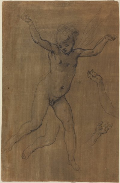 Ein Engel im Flug von Jacopo Chimenti Empoli