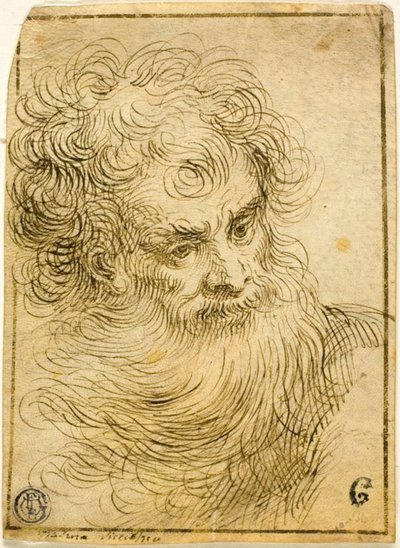 Kopf eines bärtigen alten Mannes (recto); Dekorative Skizze von Blume und Blättern (verso) von Jacopo Palma il Giovane