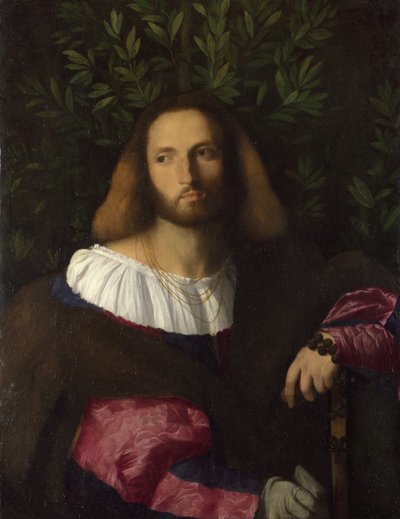 Porträt eines Dichters Ludovico Ariosto, ca. 1516 von Jacopo Palma il Vecchio the Elder