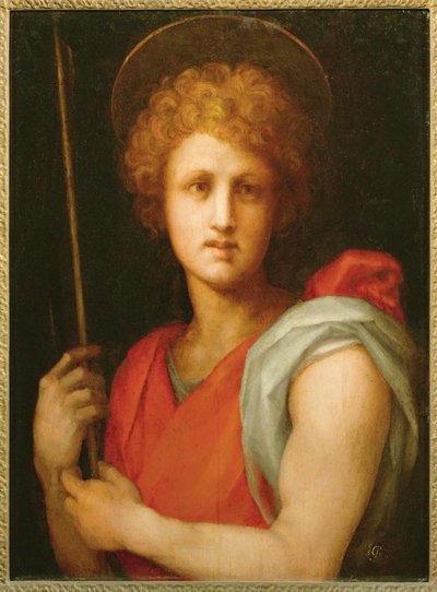 Heiliger Johannes der Täufer von Jacopo Pontormo