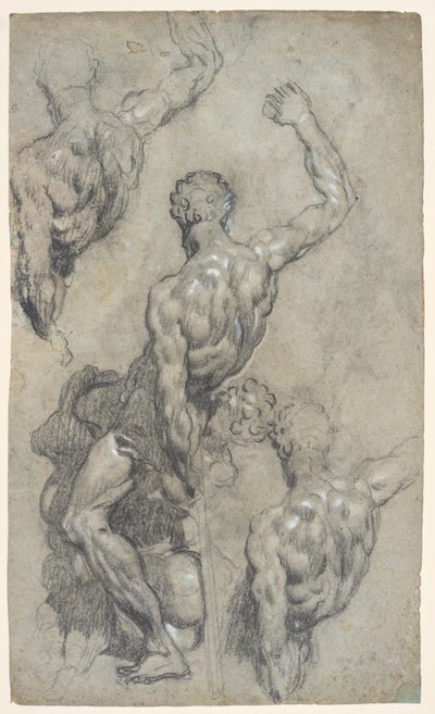 Studien zu Michelangelos "Samson und die Philister", ca. 1575-85 von Jacopo Robusti (workshop of) Tintoretto
