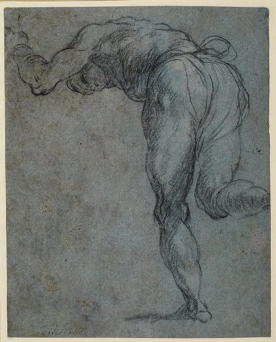 Studie einer sich nach vorne beugenden männlichen Figur, 1575-um 1585 von Jacopo Robusti Tintoretto