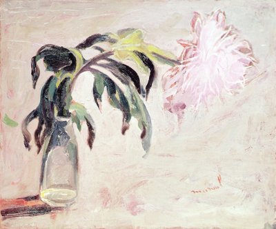 Eine Chrysantheme in einer Flasche von Jacqueline Marval
