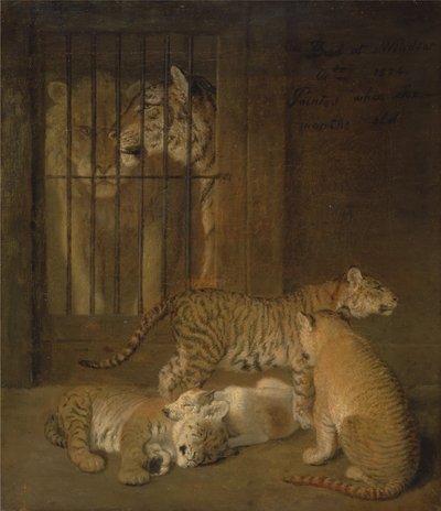 Gruppe von Welpen, gezüchtet zwischen einem Löwen und einer Tigerin von Jacques-Laurent Agasse