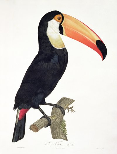 Tukan Nr. 2, aus 