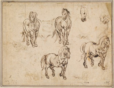 Studien von Pferden [recto] von Jacques Callot after Antonio Tempesta