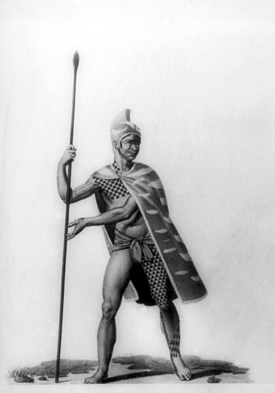 Junger Offizier in typischer Malo-Tracht, Hawaii, 1819 von Jacques Etienne Victor Arago