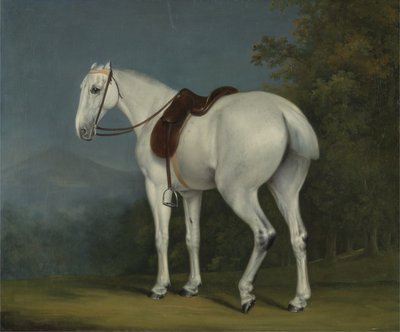 Der Graue Jäger einer Dame, ca. 1806 von Jacques Laurent Agasse