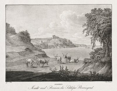 Syrmien, Markt und Ruinen des Schlosses Sharengrad von Jakob Alt