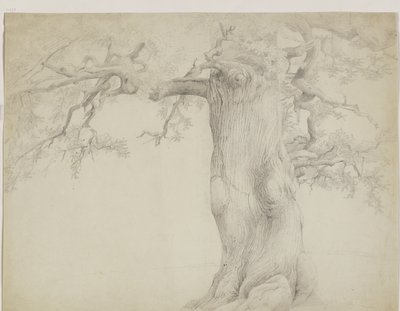 Alter Baum von Jakob Becker