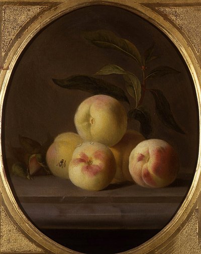 Stillleben mit Obst und einer Fliege von Jakob Bogdani or Bogdany