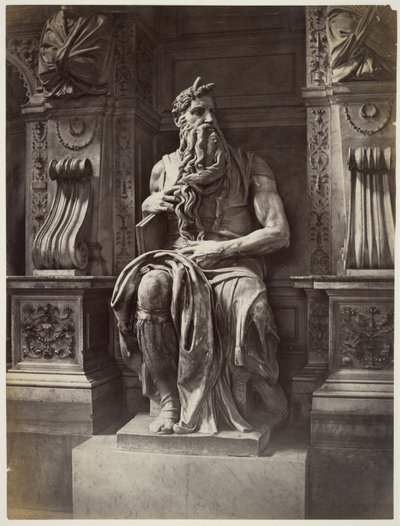 Michelangelos Moses von James Anderson
