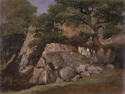 Blick auf das Tal der Felsen bei Mittlach (Elsass) von James Arthur OConnor