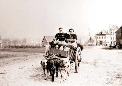 Hunde ziehen Frauen auf einem Wagen, Antwerpen, 1898 von James Batkin