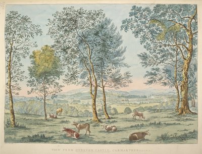 Blick vom Dynevor Castle, Carmarthen von James Bretherton
