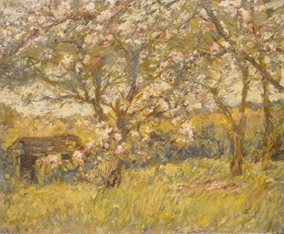 Apfelblüte von James Charles
