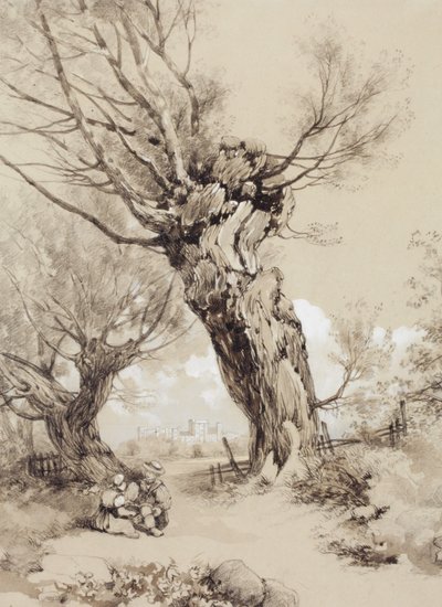 Landschaft mit Figuren unter beschnittenen Bäumen von James Duffield Harding