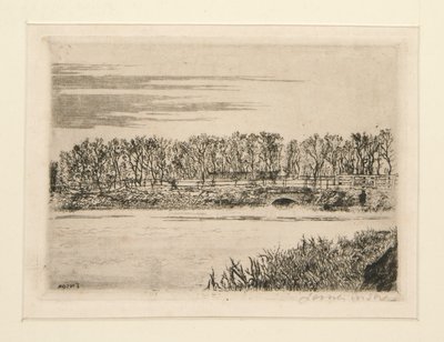 Die Brücke im Wald bei Ostende von James Ensor