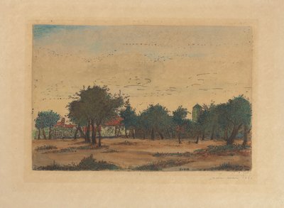 Der Obstgarten von James Ensor