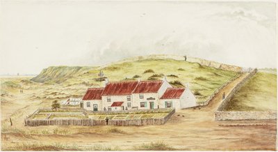 Der Waschhaus-Hügel (Betty Heron