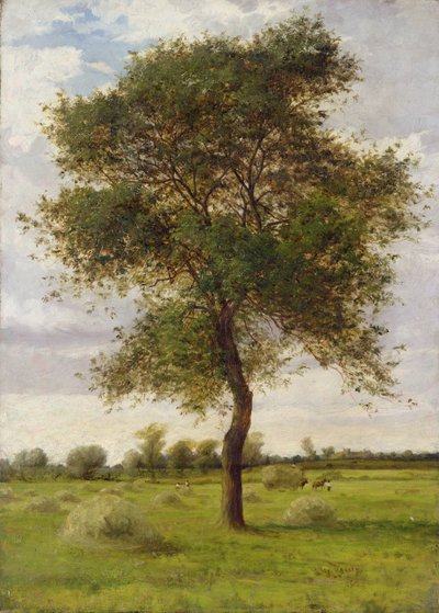 Studie eines Eschenbaums im Sommer von James Hey Davies