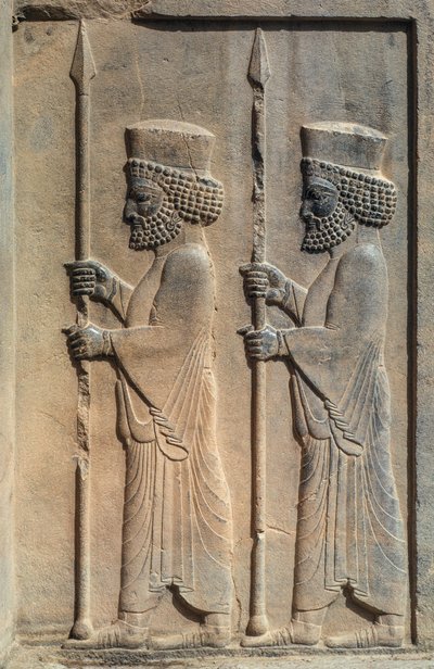Ein skulptiertes Relief in Persepolis. Darius I. begann mit dem Bau seiner zeremoniellen Hauptstadt von James L Stanfield