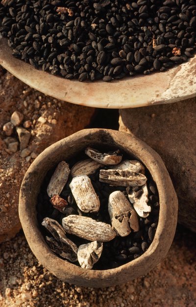 Trockene Lebensmittel werden in Schalen an der Stätte einer antiken Stadt gefunden. STARA ZAGORA, BULGARIEN von James L Stanfield