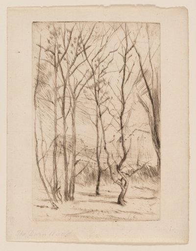 Der Dammwald von James Abbott McNeill Whistler