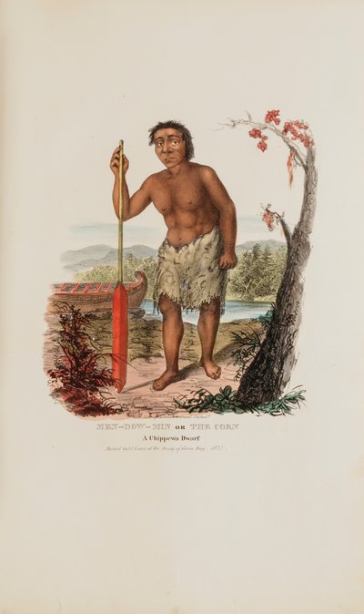 MEN-DOW-MIN oder Der Mais; Ein Chippewa-Zwerg, aus Das Aboriginal Portfolio von James Otto Lewis