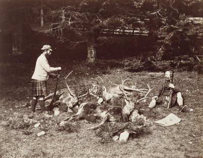 Warten auf die Ponys von James Valentine