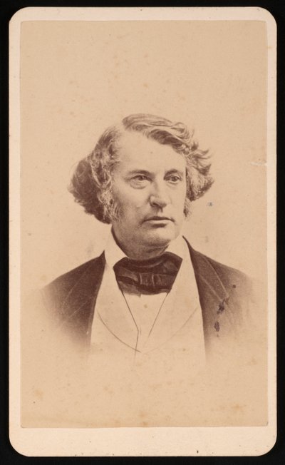 Porträt von Charles Sumner 1811-1874, vor 1874 von James Wallace Black