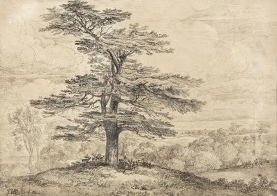 Eine Zeder auf einem Hügel mit einer Herde Hirsche im Schatten von James Ward