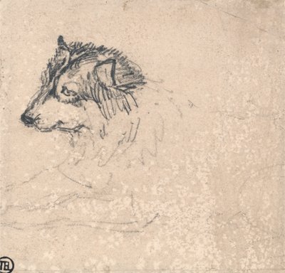 Arktischer Hund, nach links blickend von James Ward