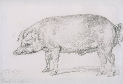 Hereford Eber, ca. 1803-04 von James Ward