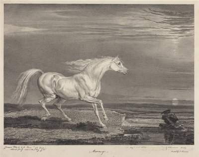 Marengo von James Ward
