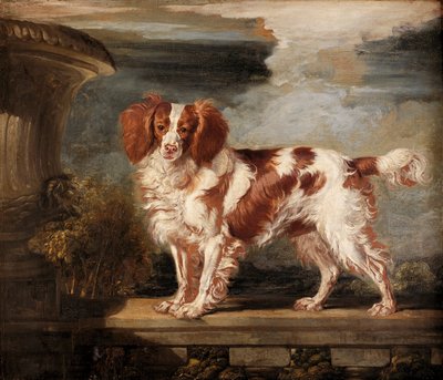 Porträt von Dash, einem Lieblingsspaniel, Eigentum von Lady Frances Vane-Tempest von James Ward