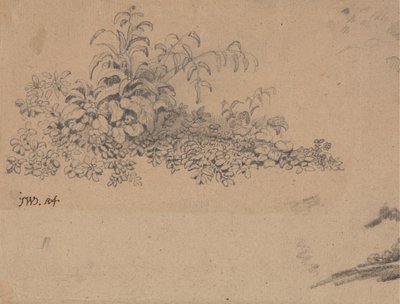 Studie des Unterholzes von James Ward