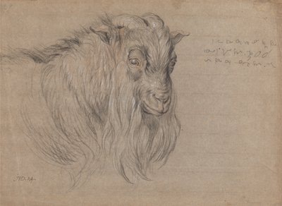 Studie eines Widderkopfes von James Ward
