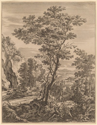 Der große Baum von Jan Both