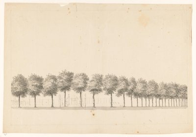 Baumallee in Batavia von Jan Brandes