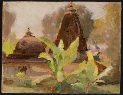 Ahmedabad - Jain-Tempel. Aus der Reise nach Indien von Jan Ciągliński