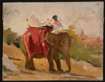 Chitorgarh - mein Elefant. Aus einer Reise nach Indien von Jan Ciągliński