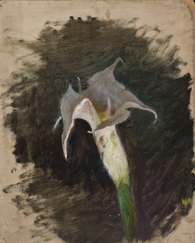 Blume von Jan Ciągliński