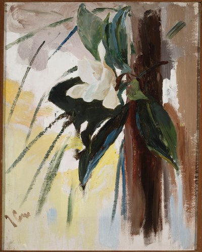 Magnolie von Jan Ciągliński