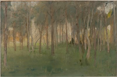 Mariino - Wäldchen von Jan Ciągliński