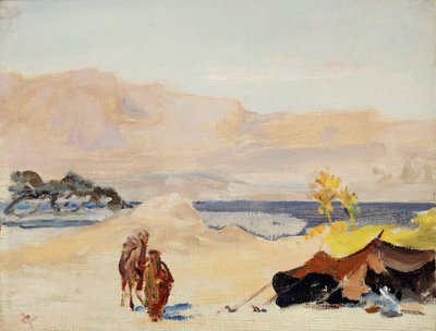 Totes Meer. Von einer Reise nach Palästina von Jan Ciągliński